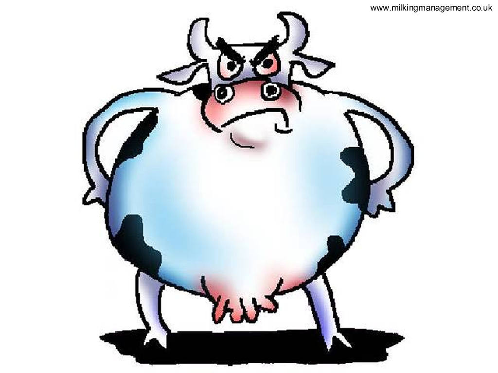 cartoon cow Pictures of cartoonws free download cartoon jpg