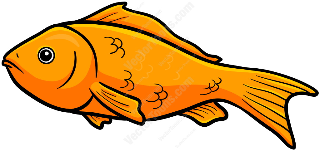 cartoon fish Fish clipart orange objects pencil and inlor fish jpg