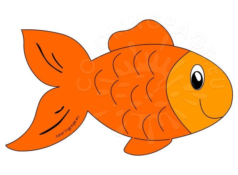 Cartoon fish clipart ourclipart jpg