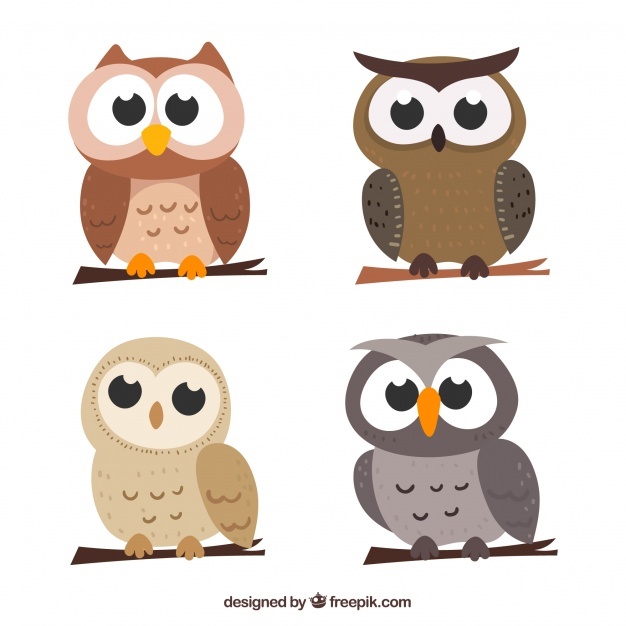 Cartoon owls vectors photos and psd files free download jpg