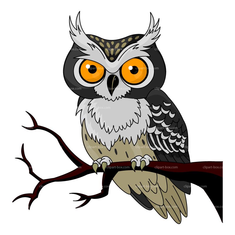 cartoon owl Clipart owl cartoon free vector design woodland jpg