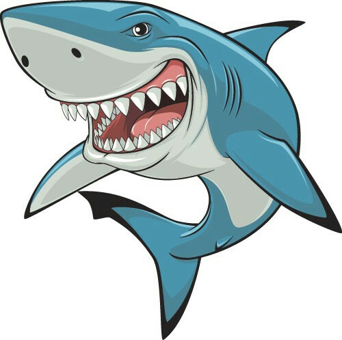 Cartoon shark drawing reference shark and jpg
