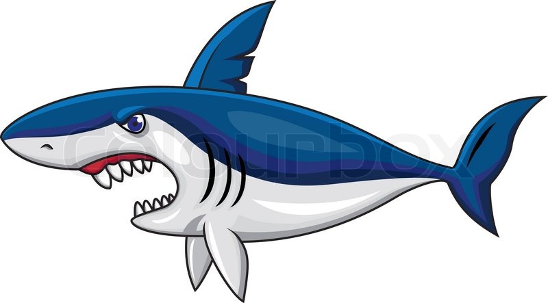 cartoon shark Vector angry shark cartoon stock lour jpg 2