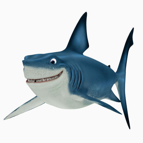 cartoon shark Shark cartoon 3d asset cgtrader jpg