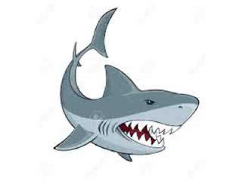 Cartoon sharks youtube jpg