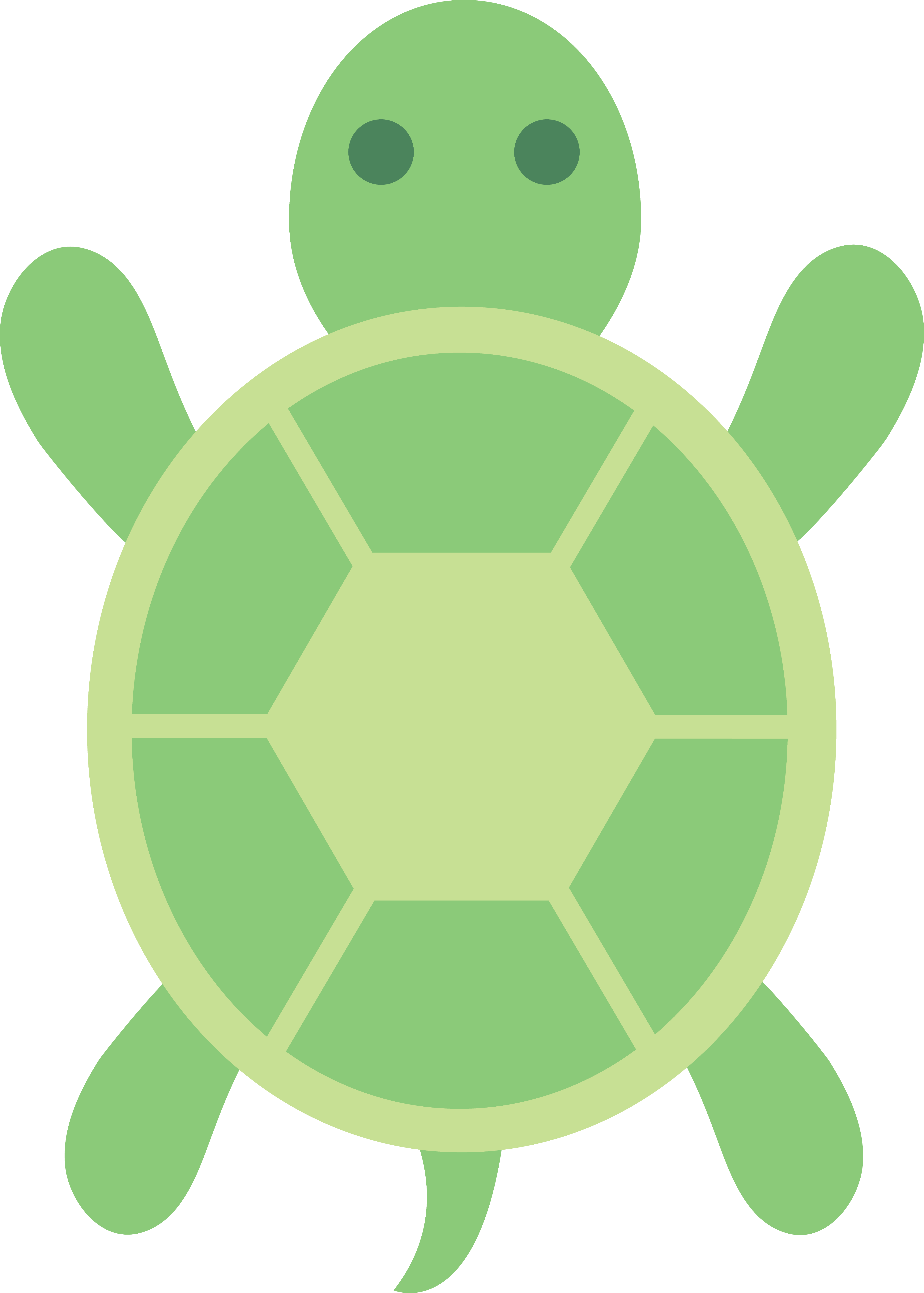 Cartoon turtle pictures free download clip art png