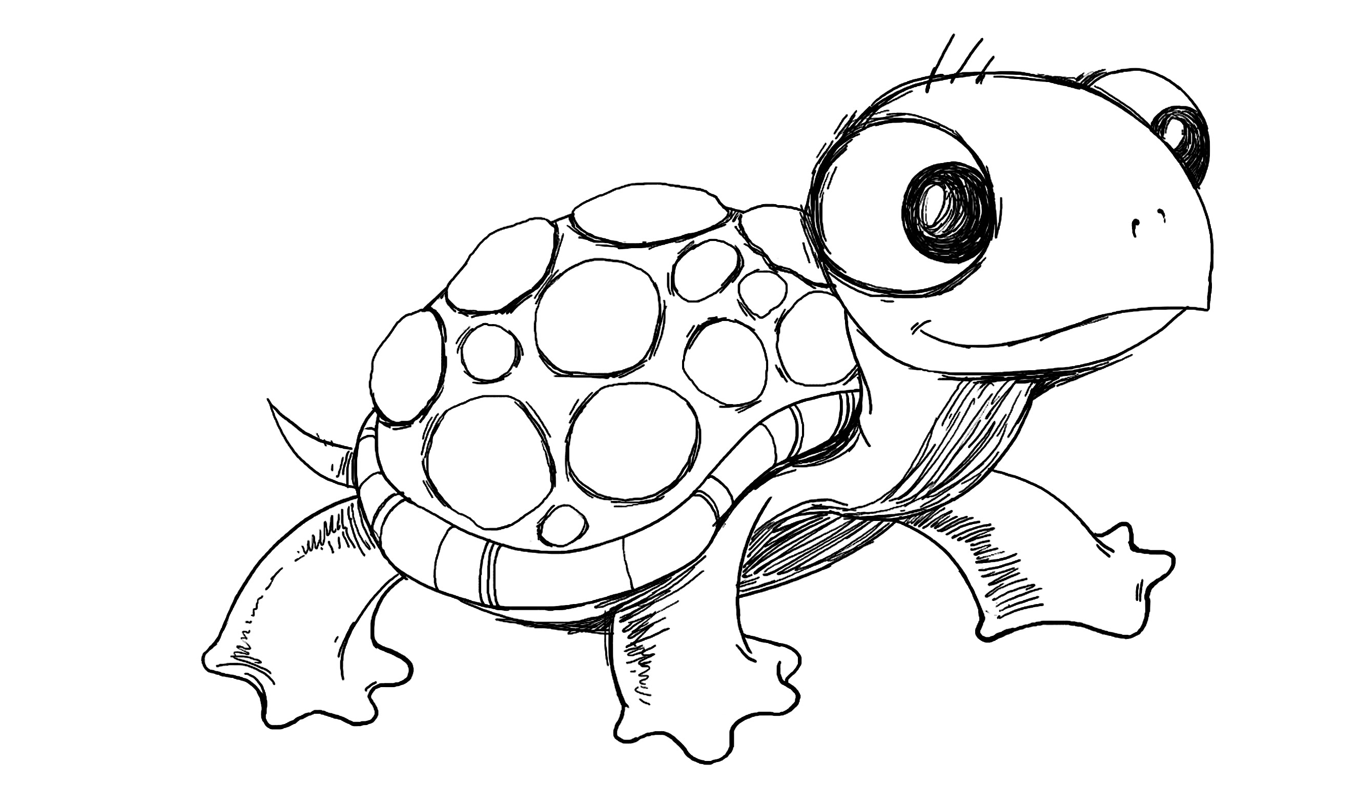 How to draw cartoon turtle youtube jpg