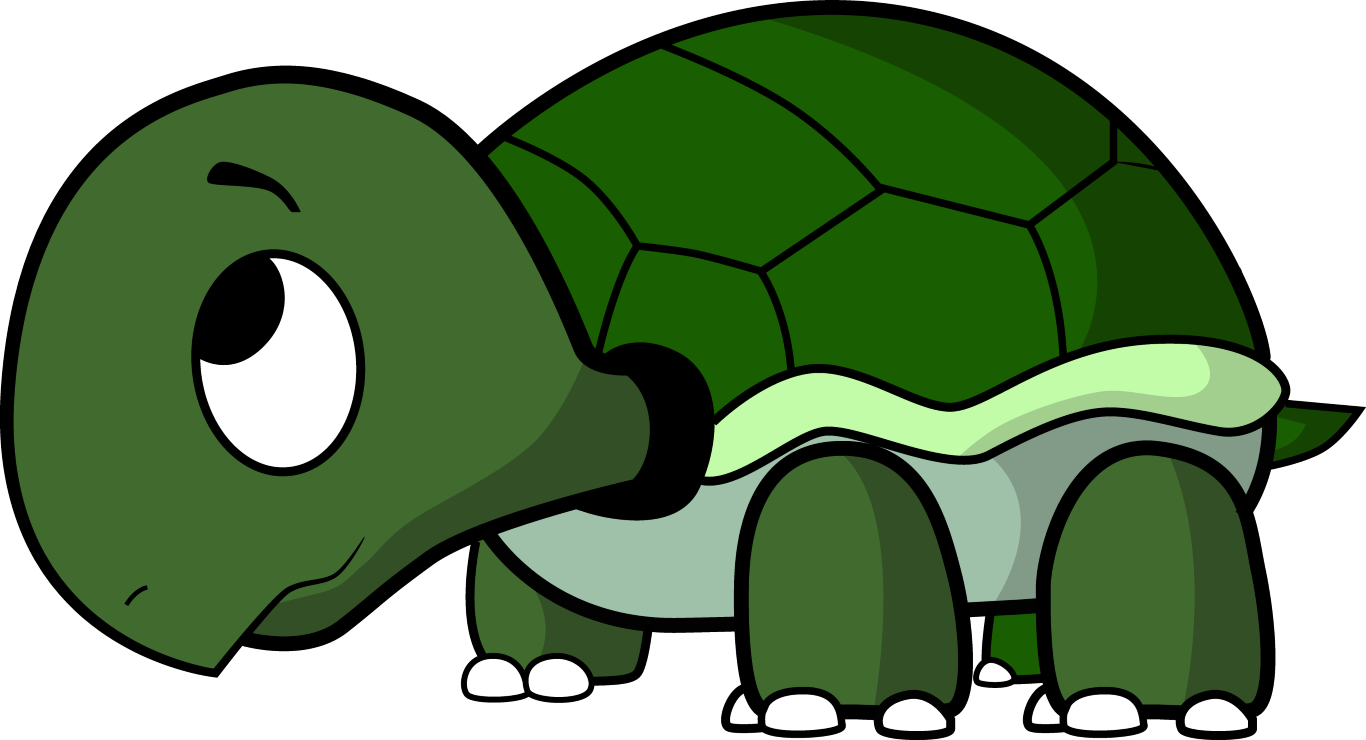 How to draw a cartoon turtle central png