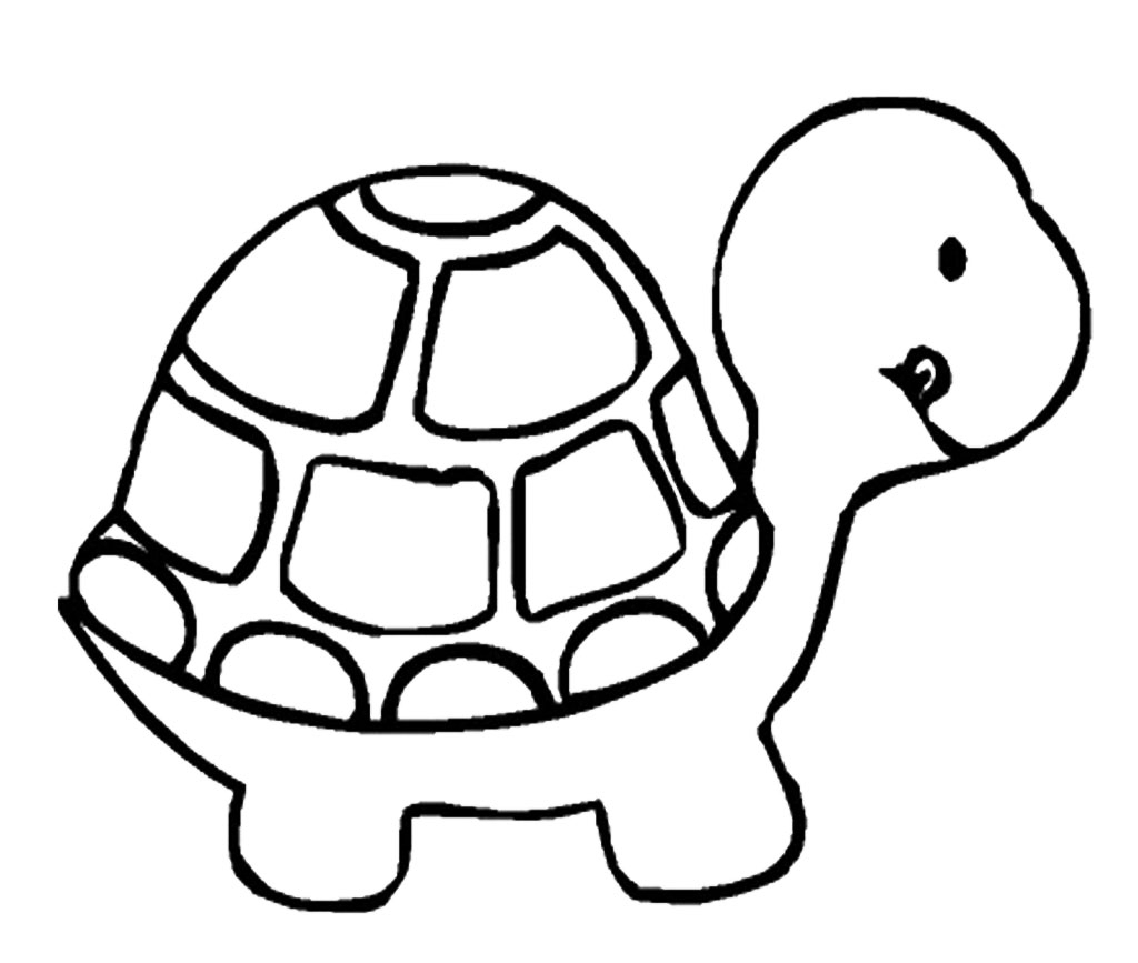 Cartoon turtle drawing artllection regarding jpg