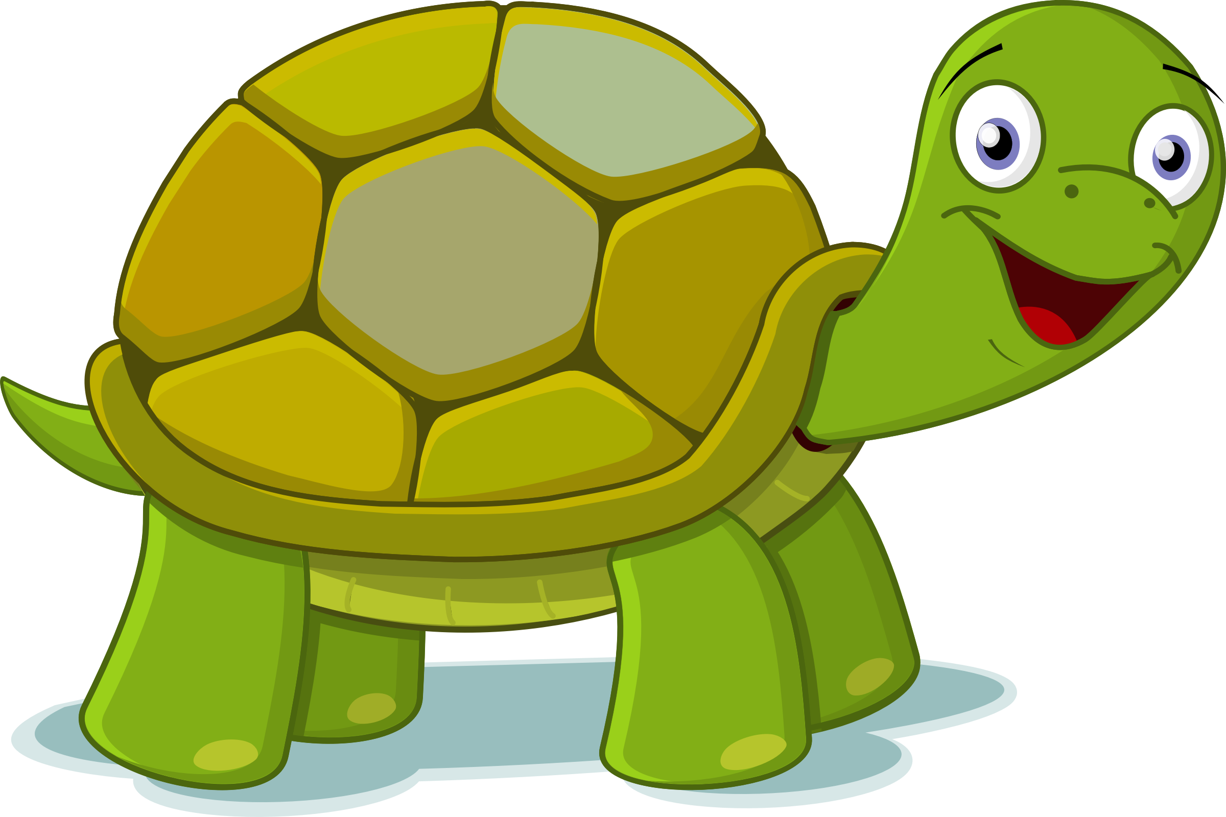 cartoon turtle Turtoise clipart happy turtle pencil and inlor turtoise png