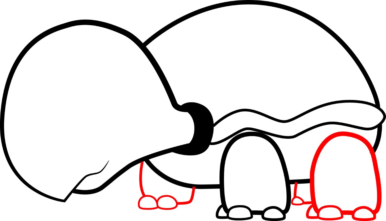 How to draw a cartoon turtle central jpg