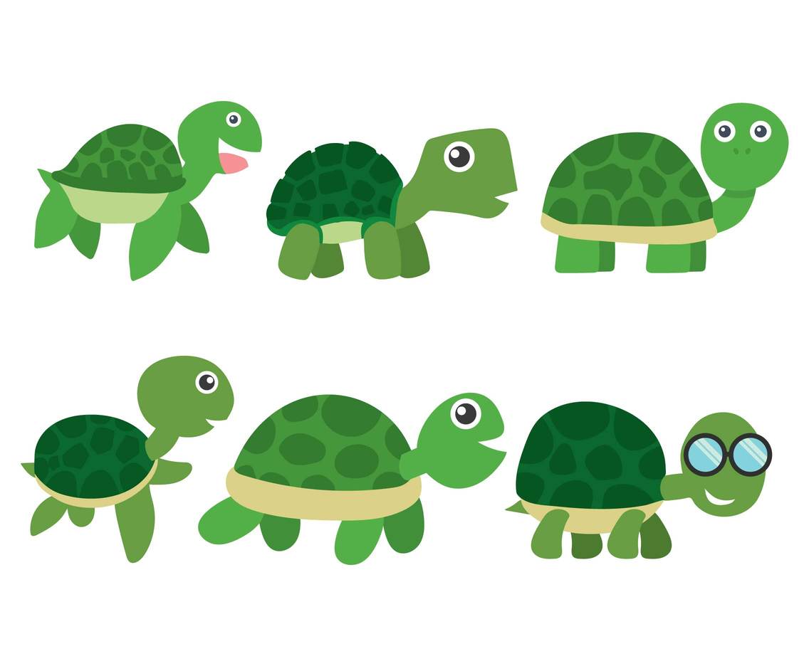 Cartoon turtle vector art  jpg