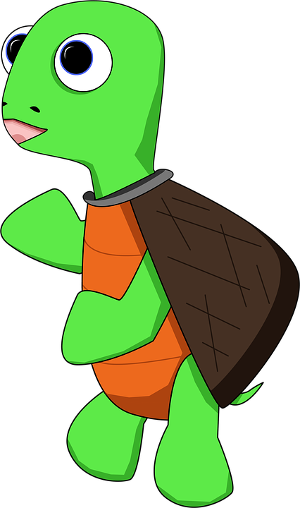 cartoon turtle Free illustration turtle cartoon cute tortoise image on png