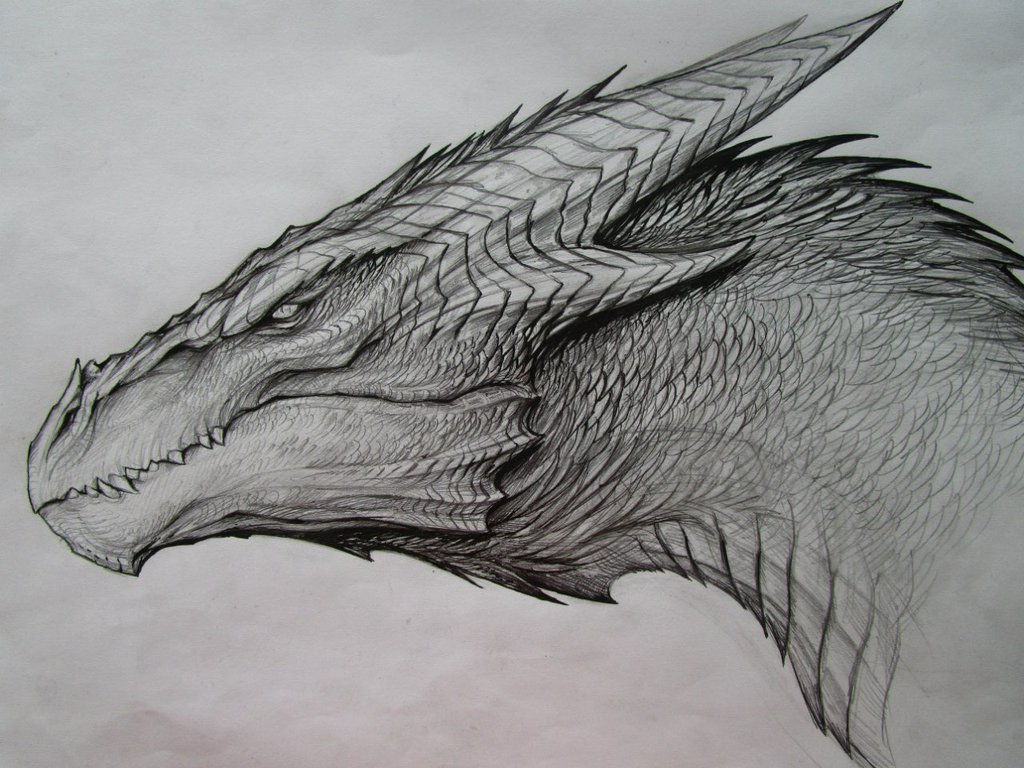 Dragon drawings how to draw a cartoon intros jpg