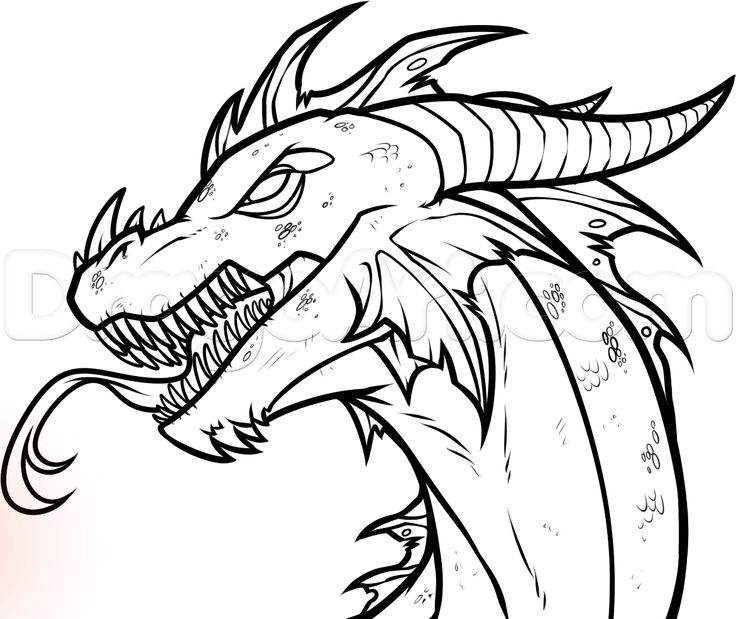 The easy dragon drawings ideas on jpg