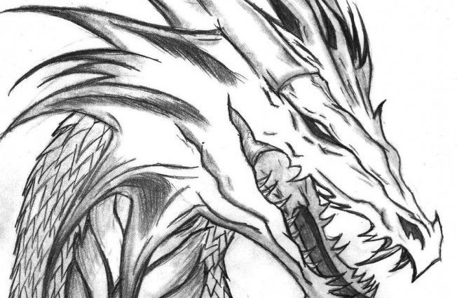 Dragondrawings ol dragon drawings ideas on jpg