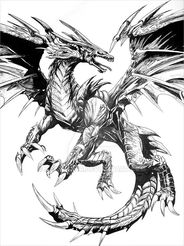 Dragon drawing realistic drawings free premium creatives jpg