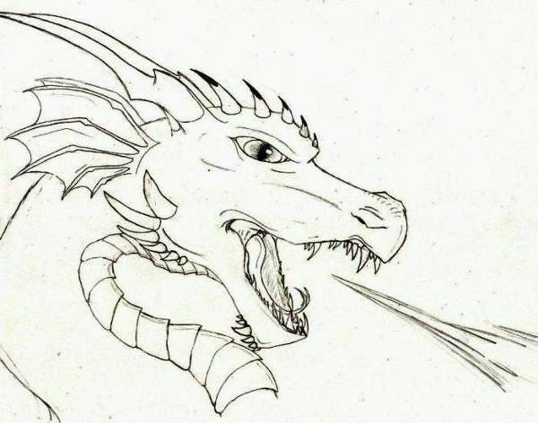 Dragon drawings art ideas design trends premium psd jpg