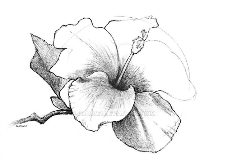 flower drawing Flower sketch drawings art ideas sketches design trends jpg