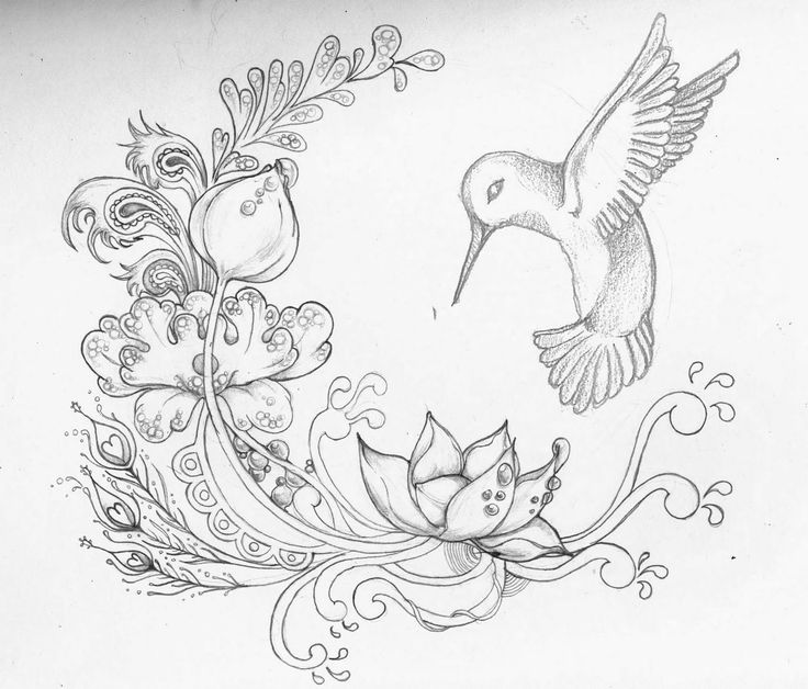 flower drawing Drawn sparrow lotus flower pencil and inlor drawn jpg