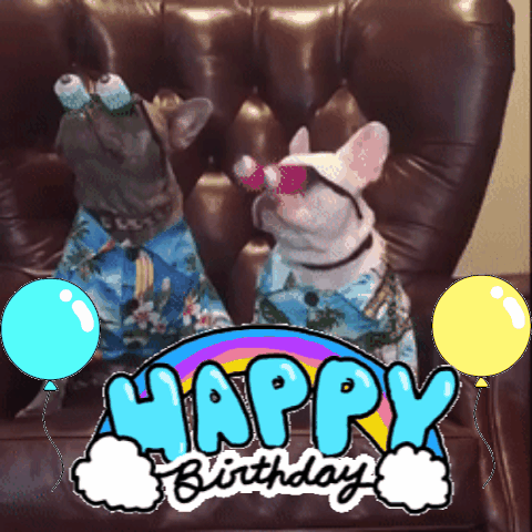happy birthday gif Dog birthday s get the on giphy gif