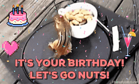 happy birthday gif Lets go nuts s get the on giphy gif