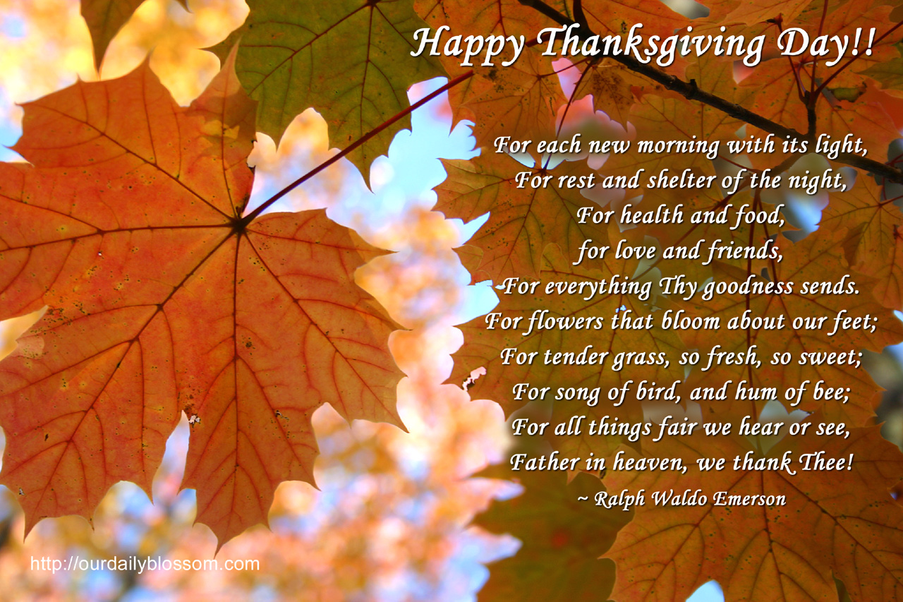 Happy thanksgiving 7 quotes images pictures wishes  jpg