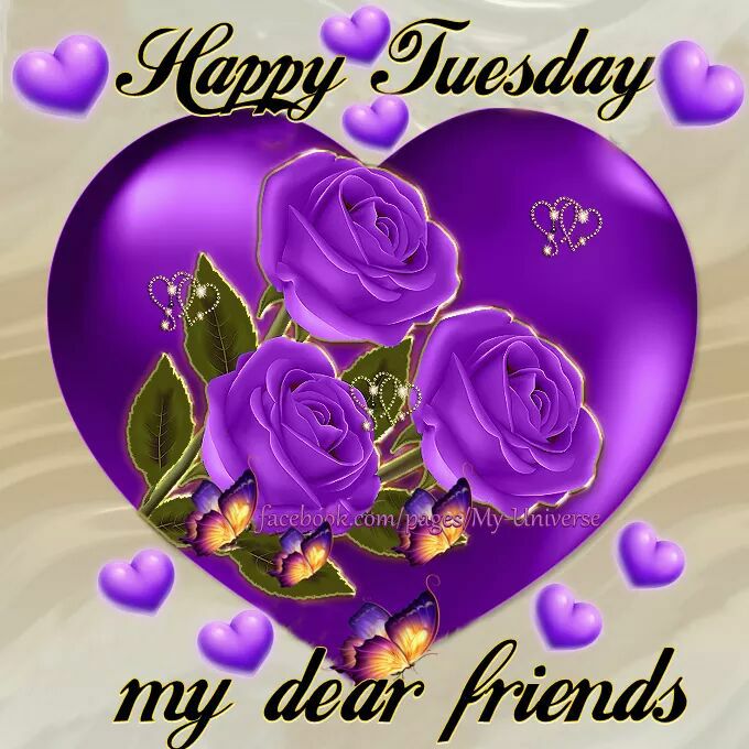 happy tuesday Hearts purple roses tuesday image 7 picturescafe jpg