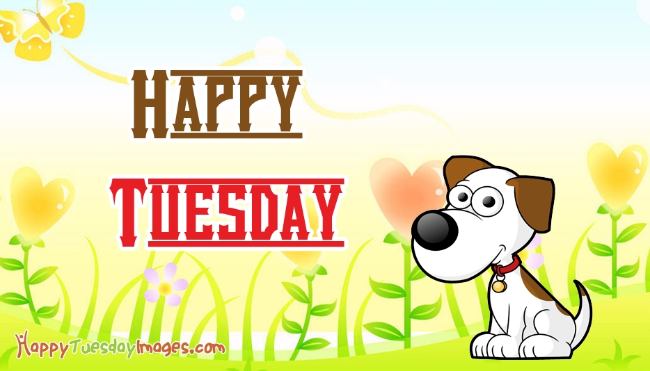 Happy tuesday images quotes pictures for free download jpg