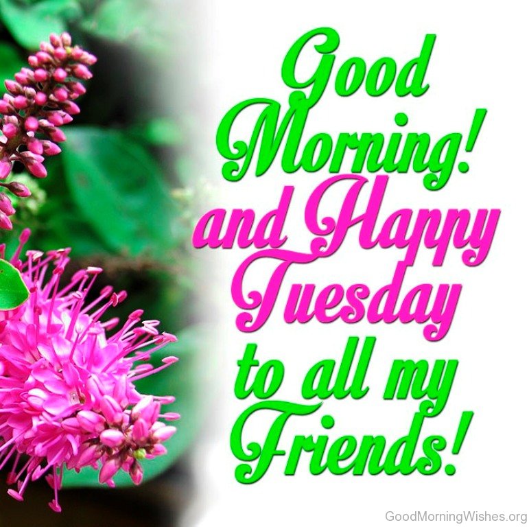 happy tuesday Good morning wishes on tuesday jpg 2