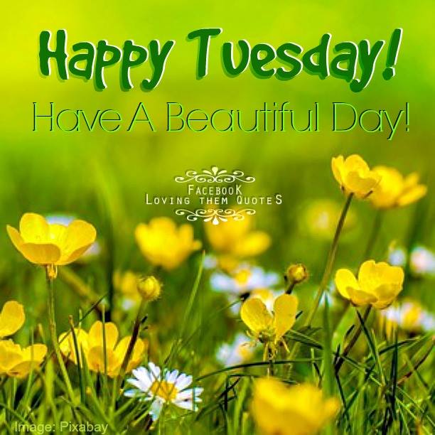 Images tagged with happy tuesday pictures cafe jpg