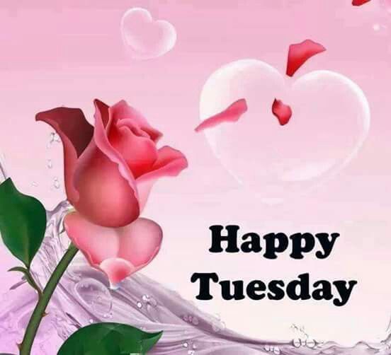 Happy tuesday rose and heart pictures photos and images for jpg