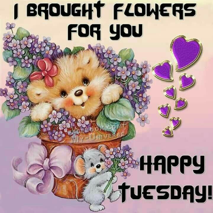 happy tuesday Tuesday blessings images on good morning jpg