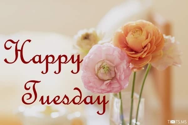 Happy tuesday hd wallpaper images photos pictures 8 jpg