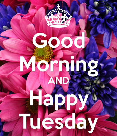 happy tuesday Good morning wishes on tuesday pictures images png