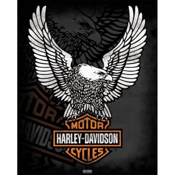 Harley davidson logo mini poster shop now jpg