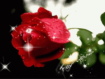 love animated Animated cliparts roses gif