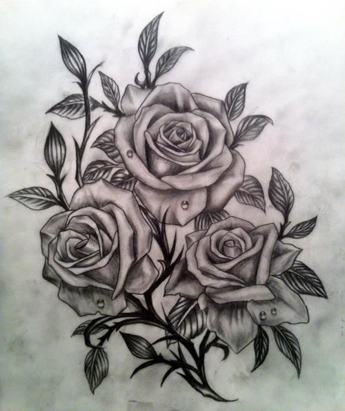 Rose drawings ideas on roses drawing tutorial jpg