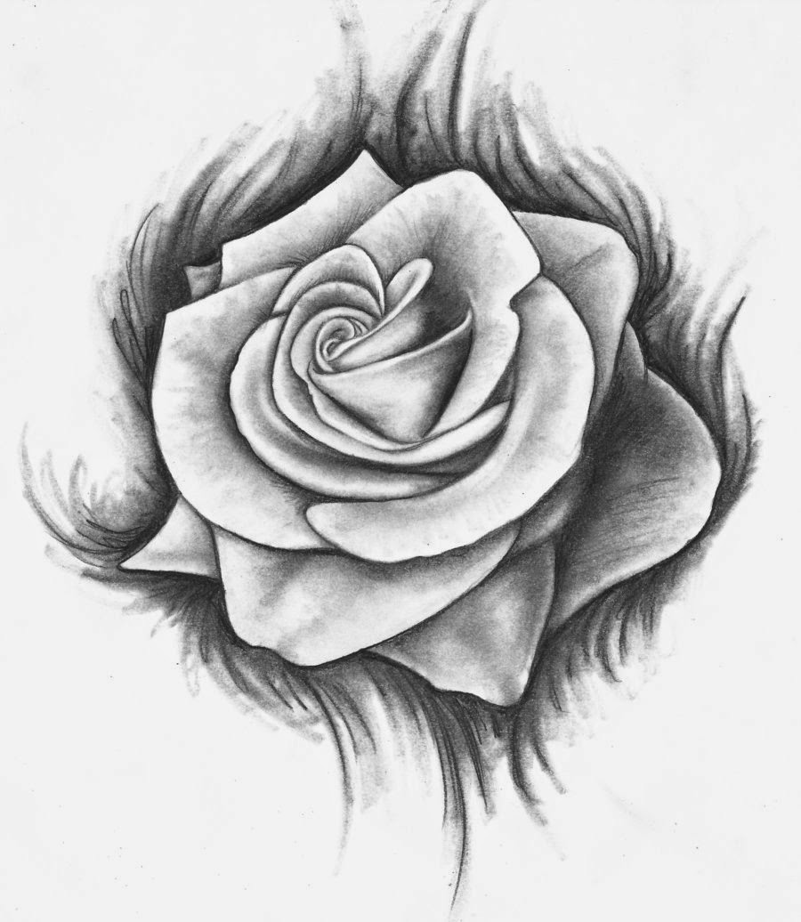rose drawing Coloring pages rose pictures drawings of jpg