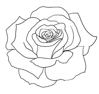 The rose drawing simple ideas on jpg 3
