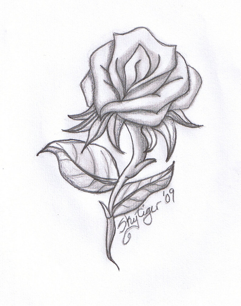 rose drawing Roses and heart drawing free download clip art jpg