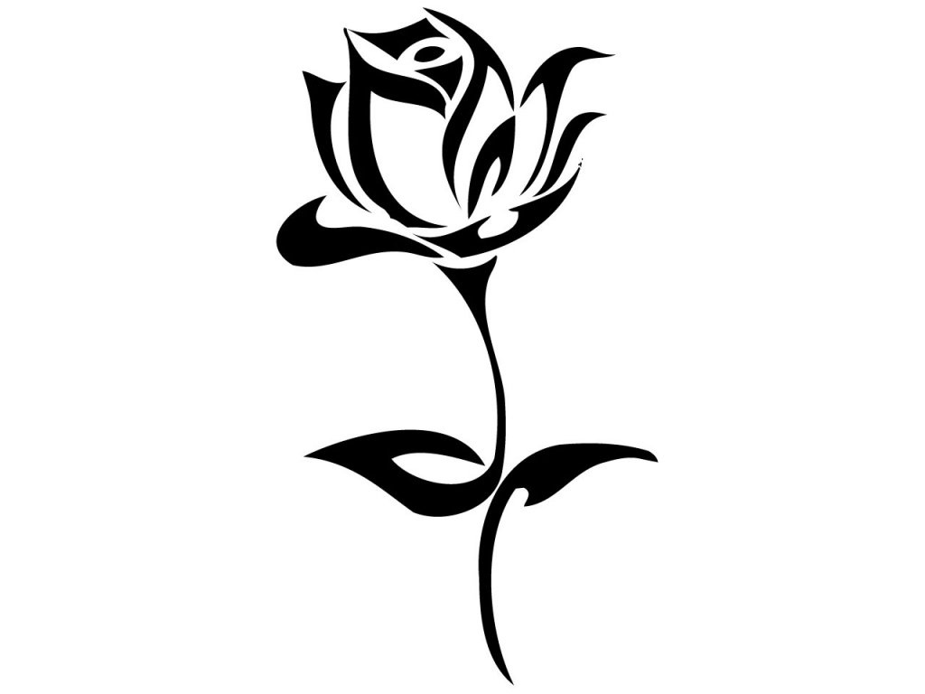 Simple rose drawings free download on jpg 2
