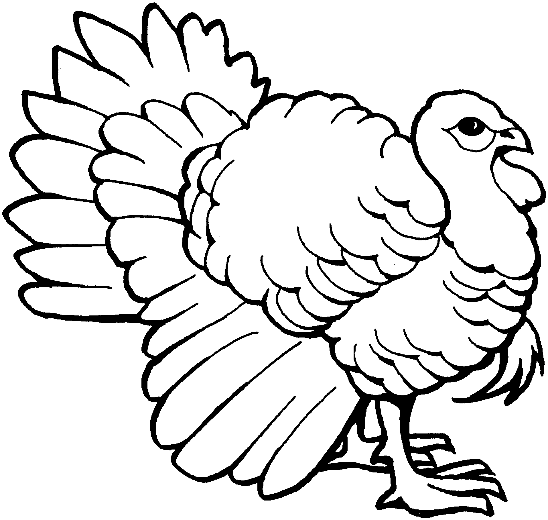 Turkey clipart outline pencil and inlor turkey gif