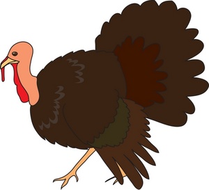 Turkey clip art pictures free clipart images jpg