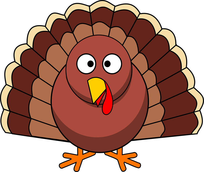 Free vector graphic turkey thanksgiving poultry image on png