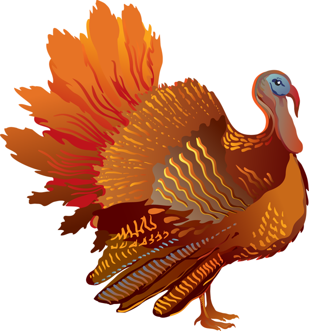Free turkey clipart cliparts and others art inspiration clipartpost png