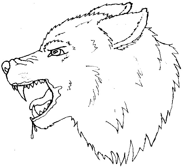 Wolf outline free download clip art on clipart jpg 2