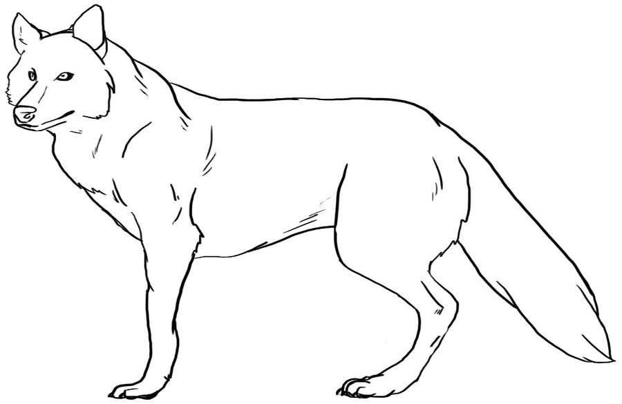 Wolf outline free download clip art on clipart jpg 3